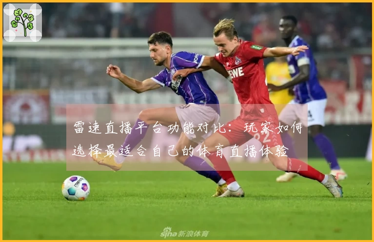 雷速直播平台功能对比：玩家如何选择最适合自己的体育直播体验